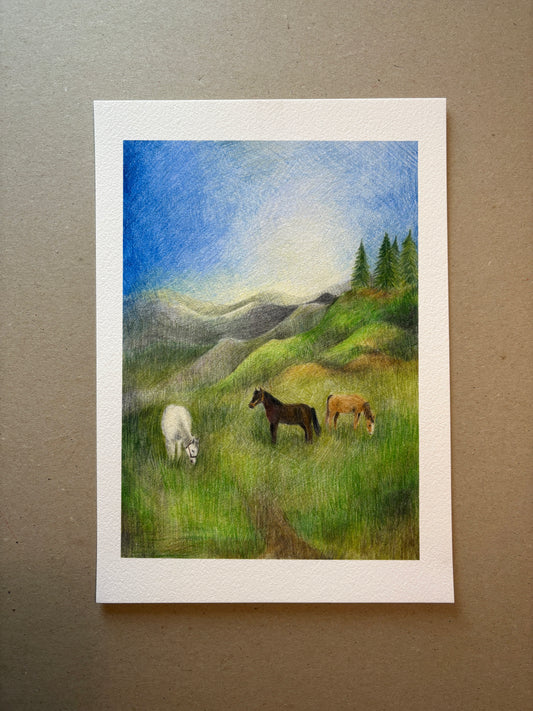A4 Kunstdruck "Pferde" ohne Rahmen A4