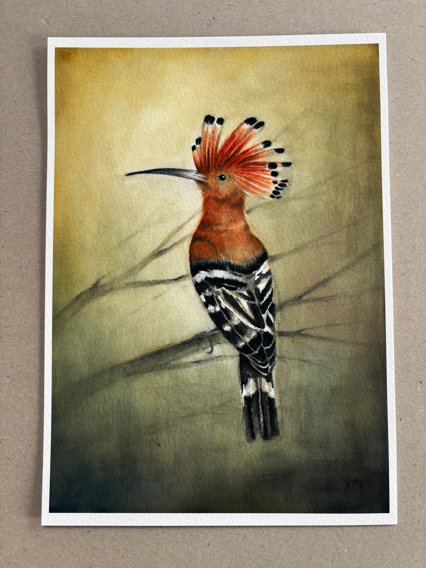 A4 Kunstdruck "Wiedehopf" ohne Rahmen