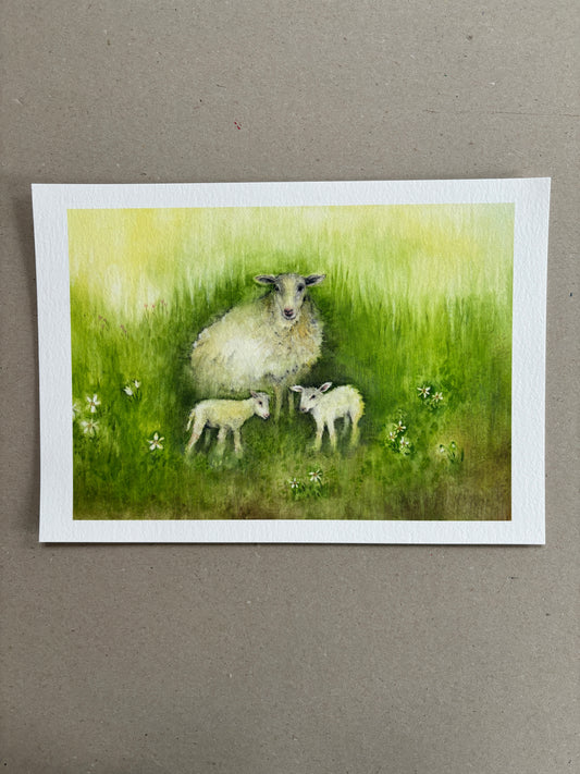 A4 Kunstdruck "Schaf mit Lämmern" ohne Rahmen