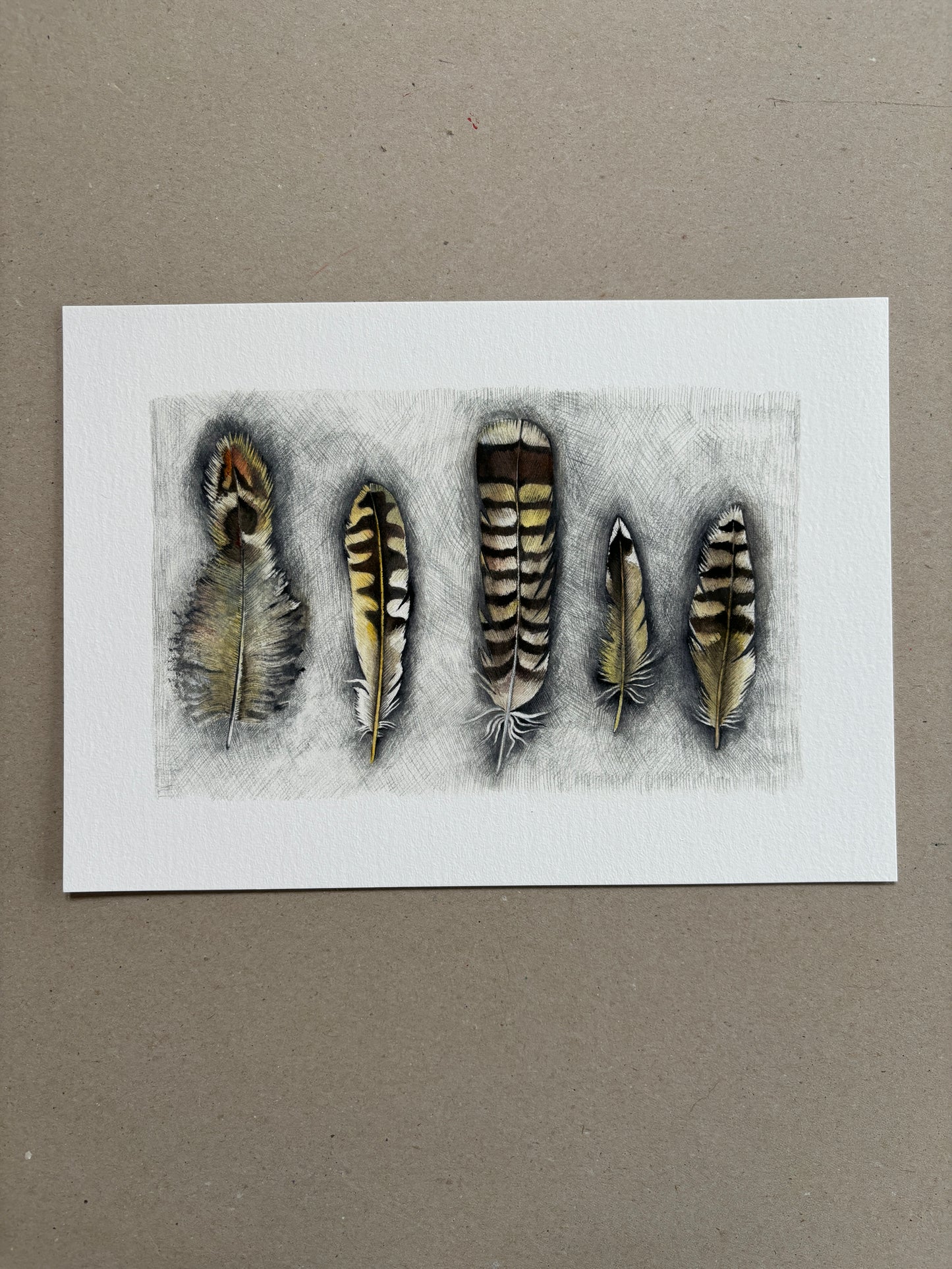 A4 Kunstdruck "Federn" ohne Rahmen