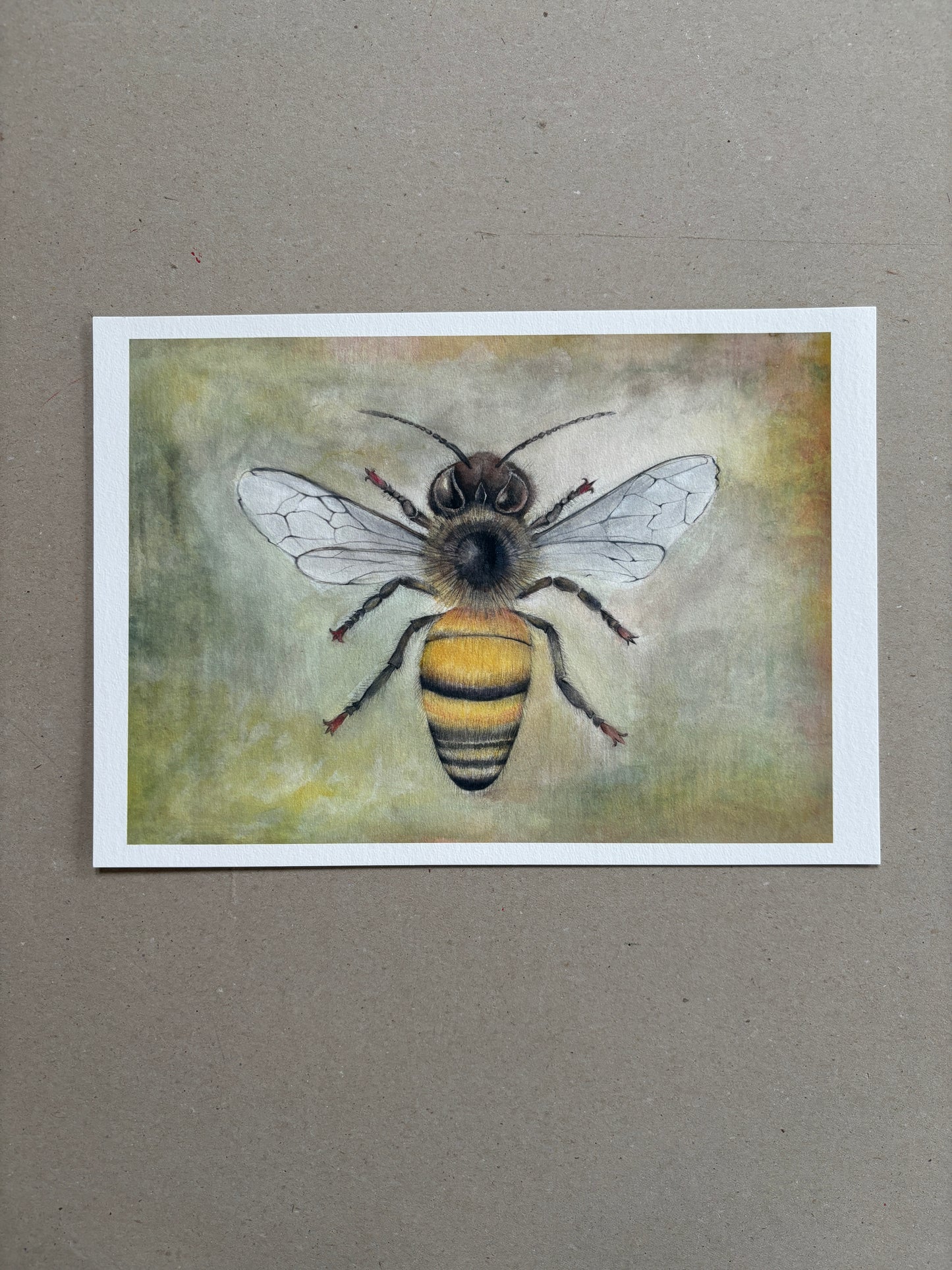 A4 Kunstdruck "Biene" ohne Rahmen