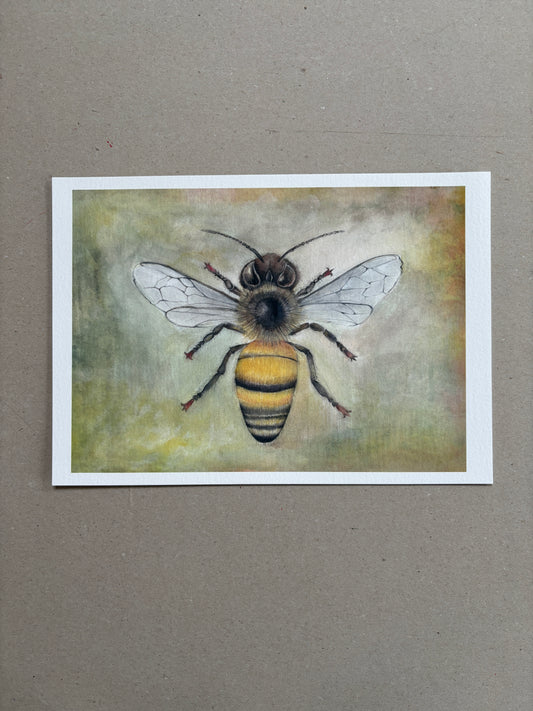 A4 Kunstdruck "Biene" ohne Rahmen