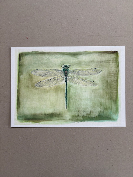 A4 Kunstdruck "Libelle" ohne Rahmen
