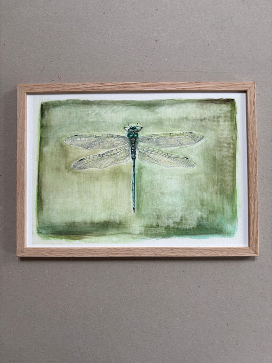 A4 Kunstdruck "Libelle" mit Rahmen Eiche
