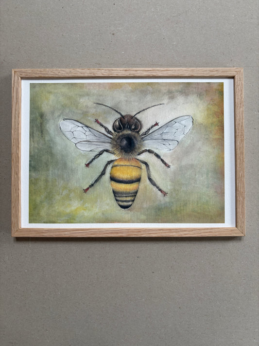 A4 Kunstdruck "Biene" mit Rahmen Eiche