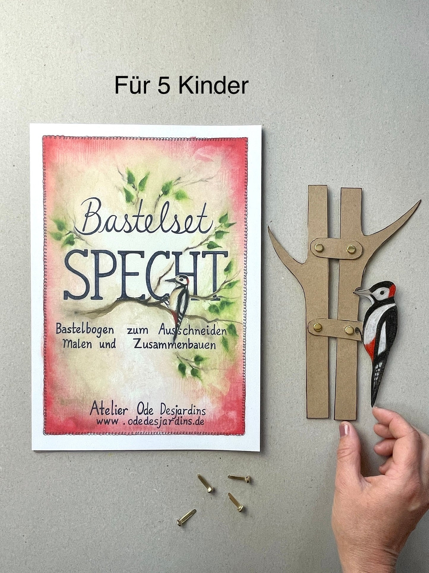 Für 5 Kinder Bastelset "Specht" ( 1 A3 und 5 A4 Bastelbögen)