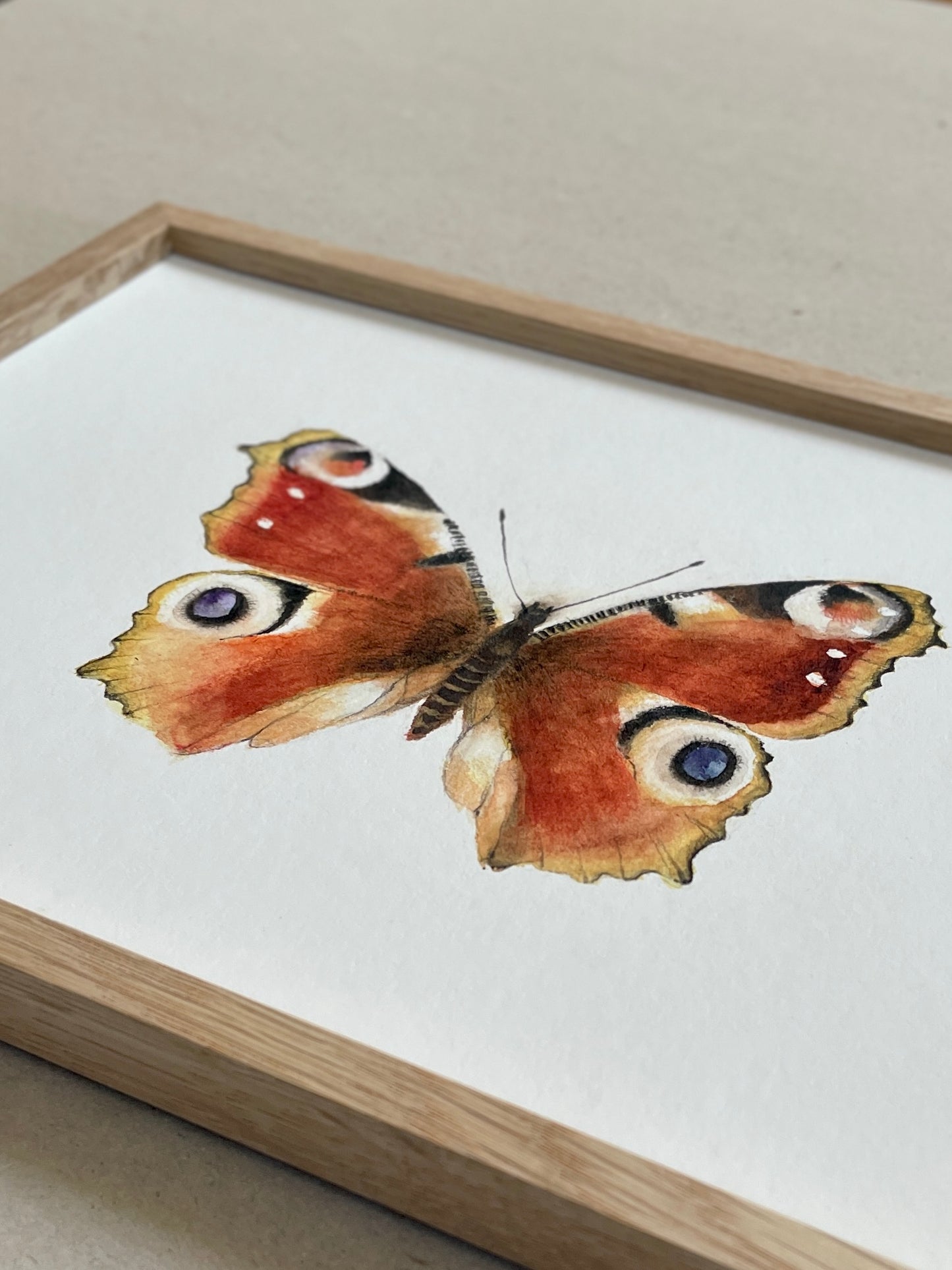 A4 Kunstdruck "Tagpfauenauge mit Rahmen Eiche