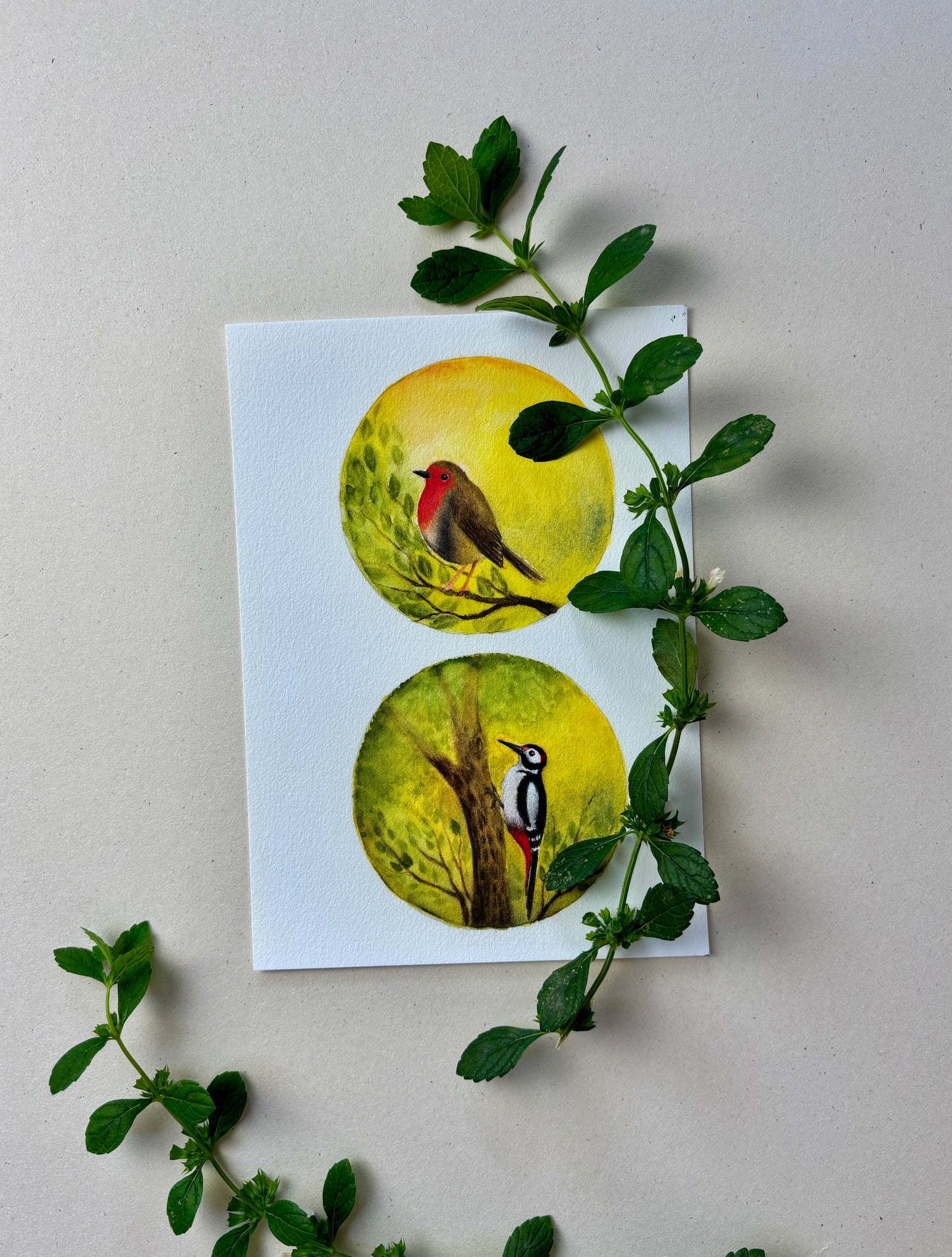 Wunderschöne Tiermotive "Rotkehlchen und Specht" zum ausdrucken