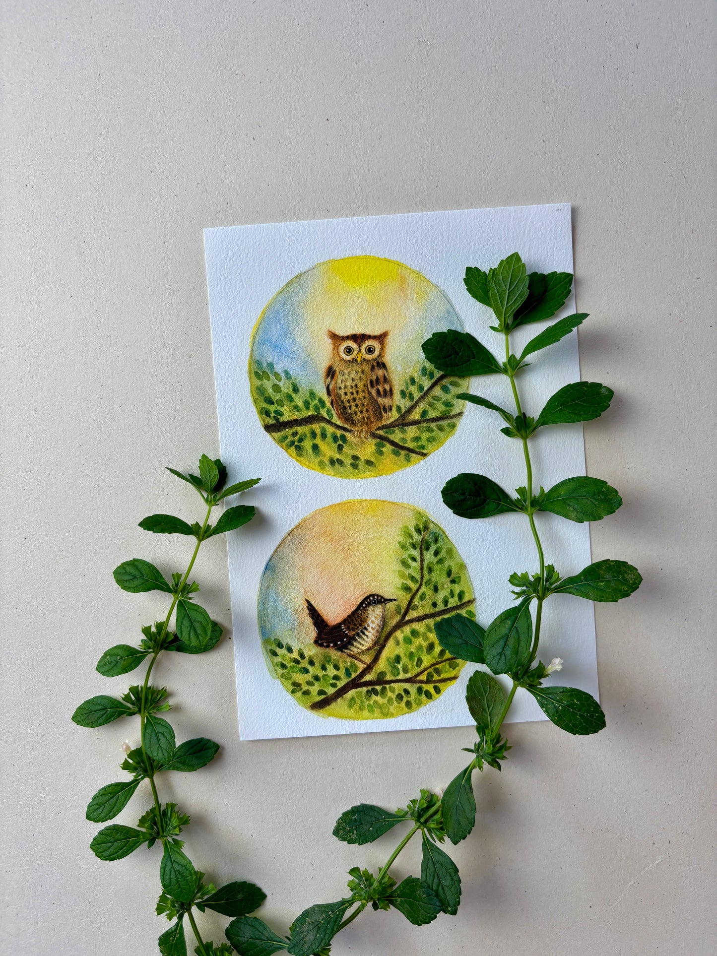 Wunderschöne Tiermotive "Eule und Zaunkönig" zum ausdrucken