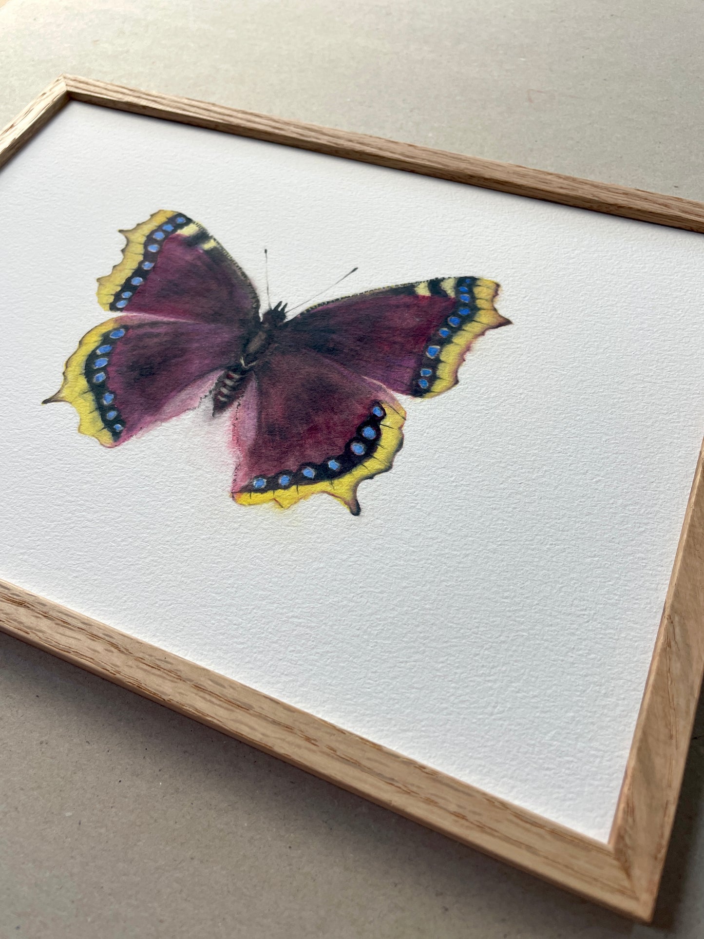 A4 Kunstdruck "Der Trauermantel" mit Rahmen Eiche