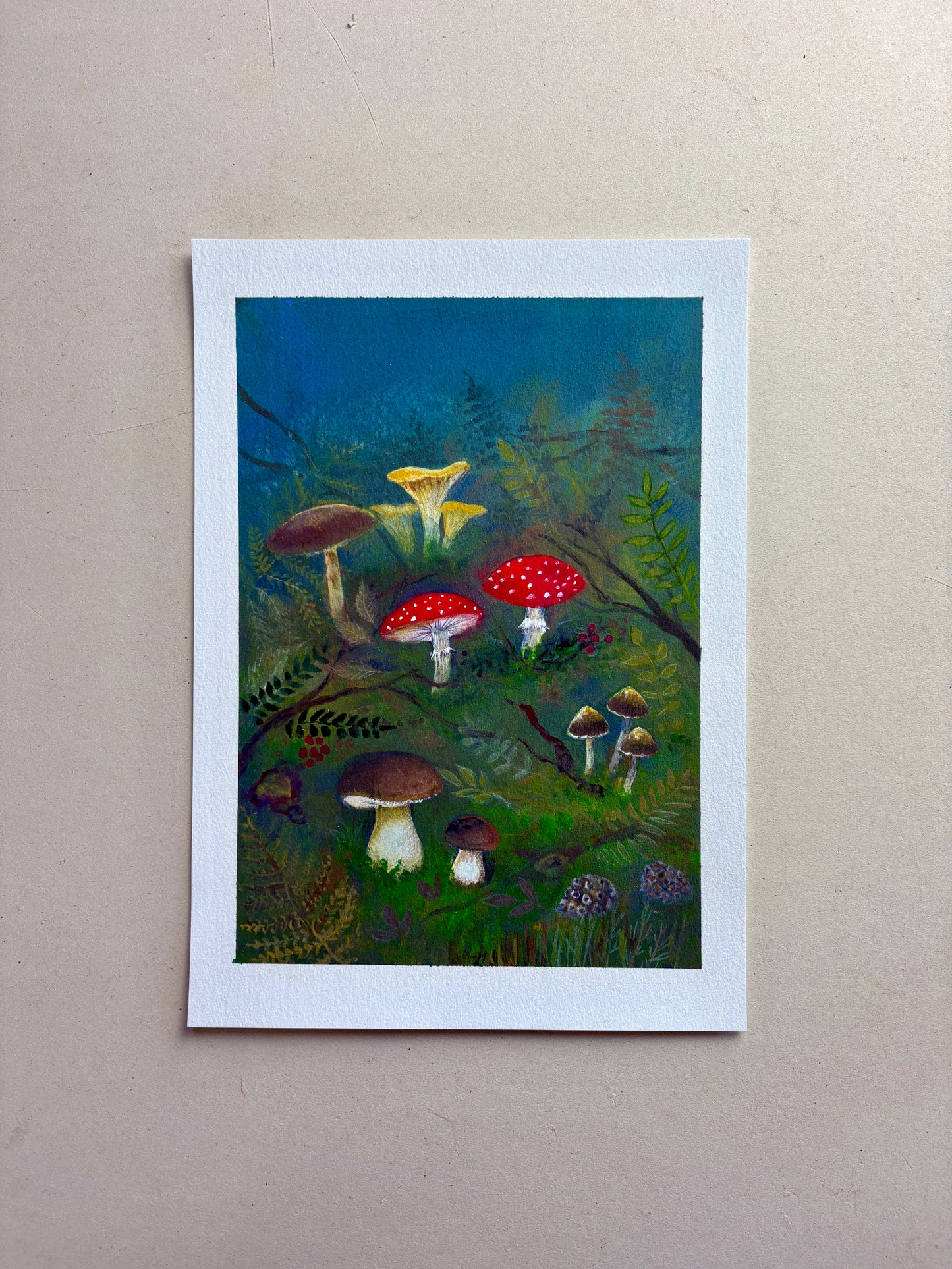 A4 Kunstdruck "Pilze" ohne Rahmen