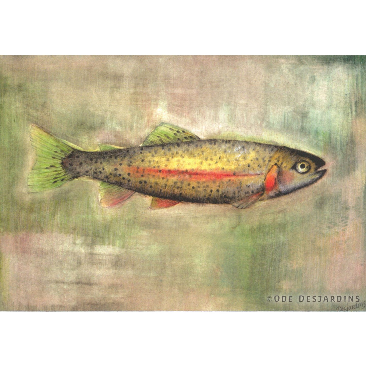 Kunstkarten Set "Tiere" (6 Postkarten A6)