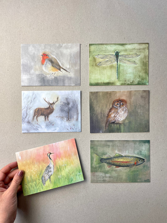 Kunstkarten Set "Tiere" (6 Postkarten A6)