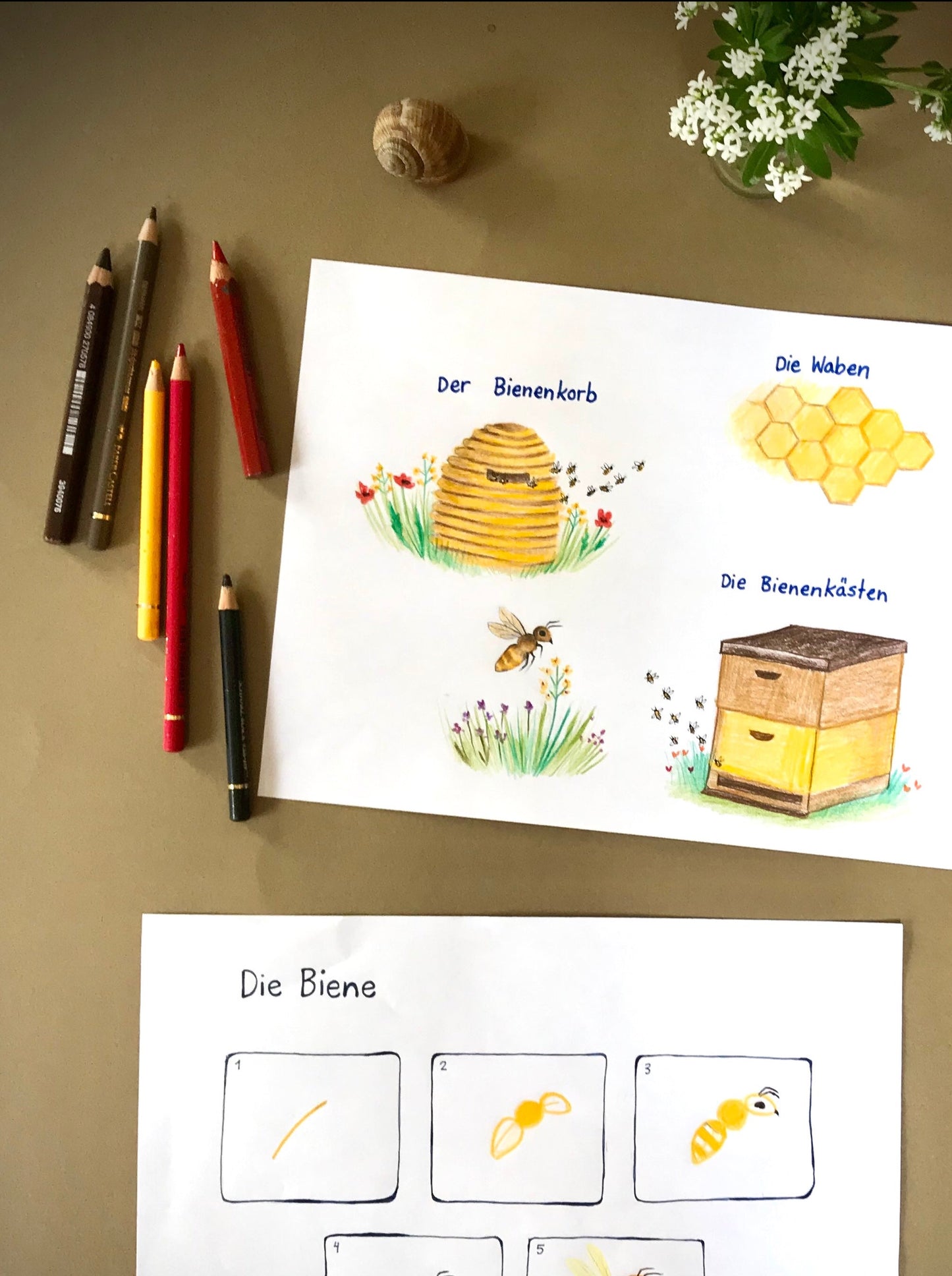 Malvorlage "Bienen" (PDF)