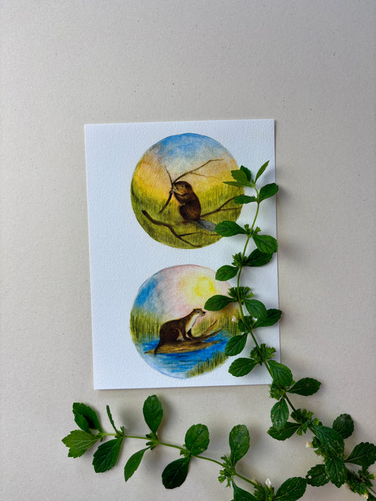 Wunderschöne Tiermotive "Bieber und Otter" zum ausdrucken