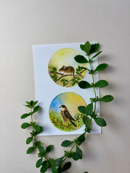 Wunderschöne Tiermotive "Maus und Falke" zum ausdrucken