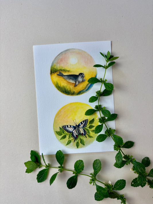 Wunderschöne Tiermotive "Robbe und Schmetterling" zum ausdrucken