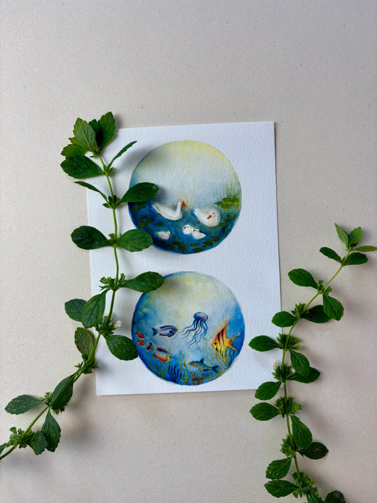 Wunderschöne Tiermotive "Enten und Fische" zum ausdrucken