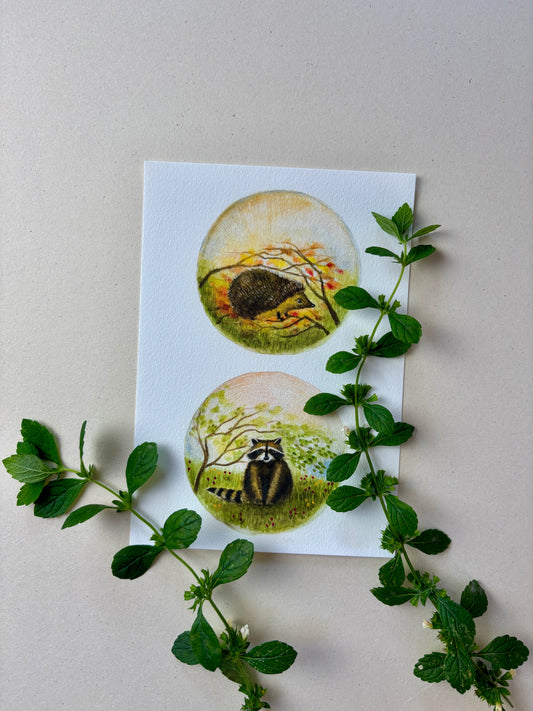 Wunderschöne Tiermotive "Igel und Waschbär" zum ausdrucken
