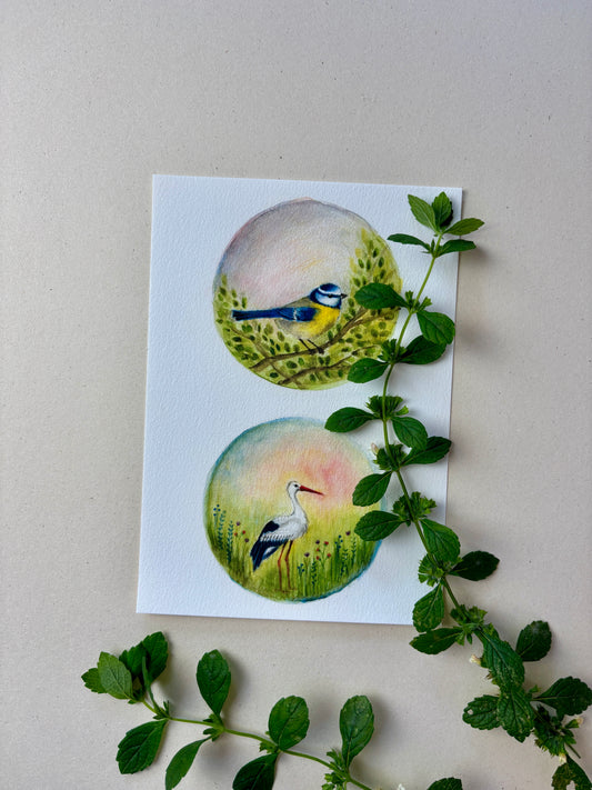Wunderschöne Tiermotive "Blaumeise und Storch" zum ausdrucken