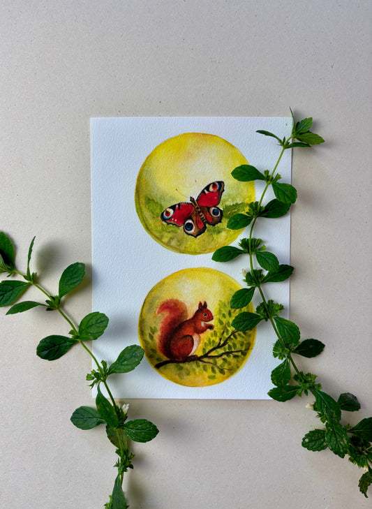 Wunderschöne Tiermotive "Schmetterlinge und Eichhörnchen" zum ausdrucken