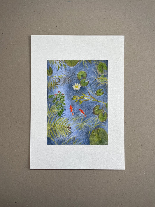 A4 Kunstdruck "Teich mit Fischen" ohne Rahmen A4