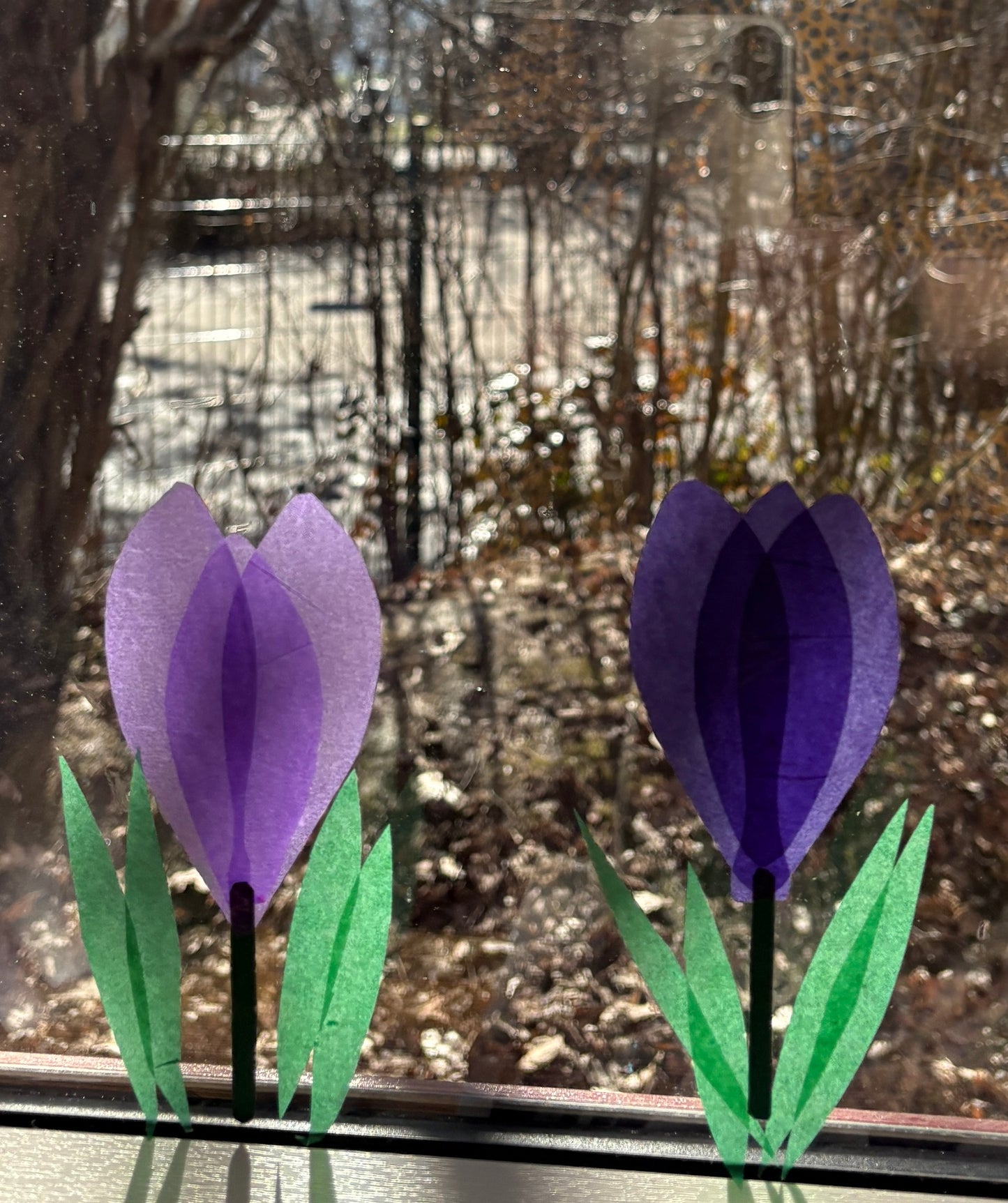 Bastelvorlage „Krokus“ (PDF)