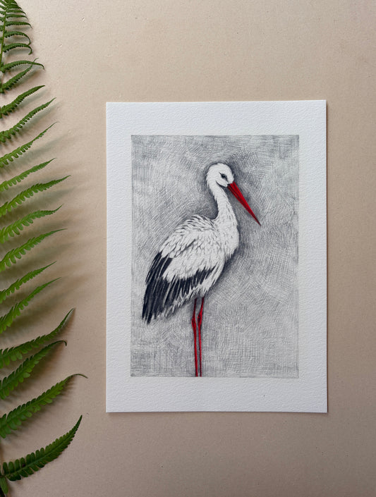 A4 Kunstdruck "Storch" ohne Rahmen